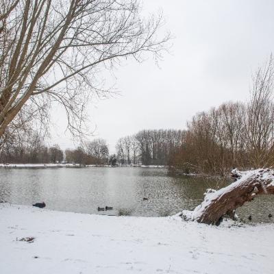 Baisieux sous la neige 