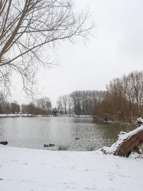 Baisieux sous la neige 