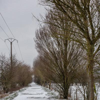 Baisieux sous la neige 