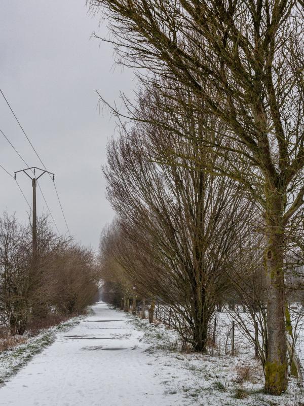 Baisieux sous la neige 