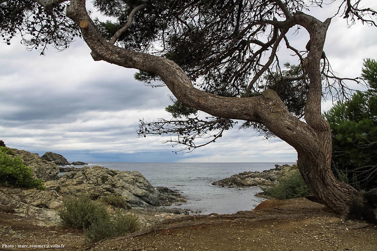 Six Fours - Ile du Gaou