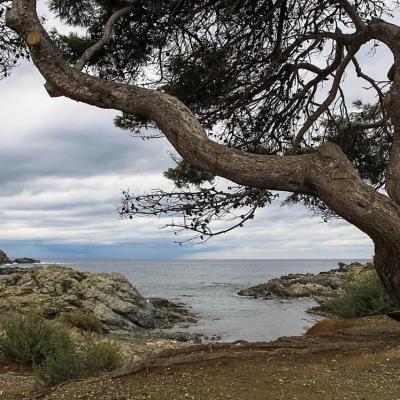 Six Fours - Ile du Gaou