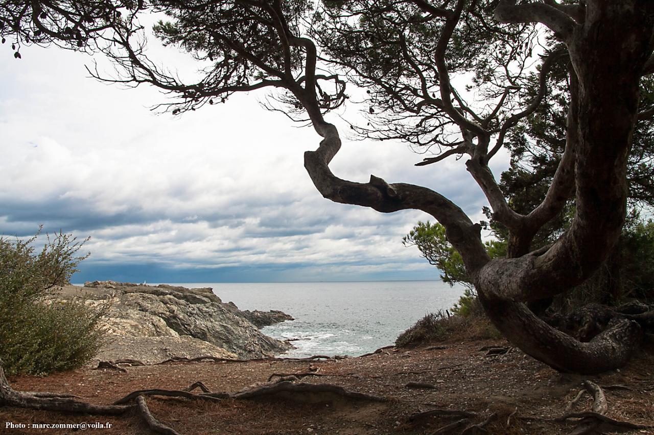 Six Fours - Ile du Gaou