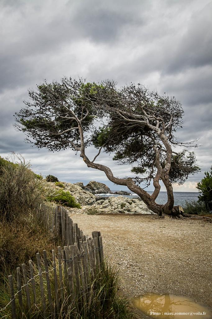 Six Fours - Ile du Gaou