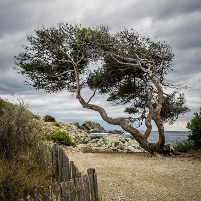 Six Fours - Ile du Gaou