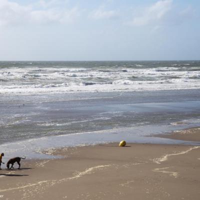 Wimereux