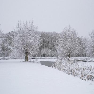 Campagne enneigée