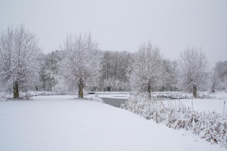 Parc des 6 Bonniers (Willems)