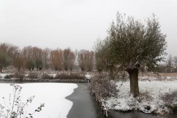 Base de loisirs parc des 6 bonniers marc zommer photographies