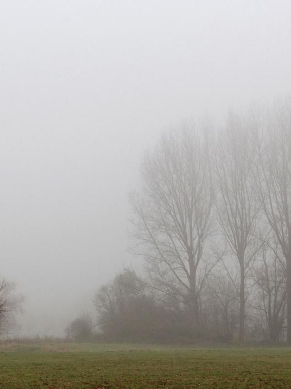 Brouillard