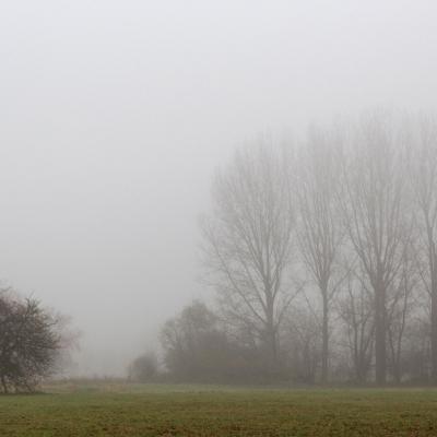 Brouillard - Campagne