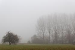 Brouillard - Campagne Baisieux - Marc Zommer Photographies