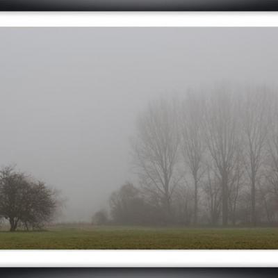 Brouillard ch py01a marc zommer photographies