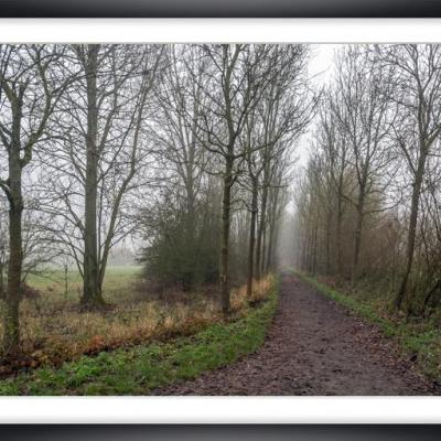 Brouillard ch py02a marc zommer photographies