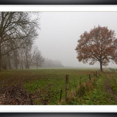 Brouillard ch py03a marc zommer photographies