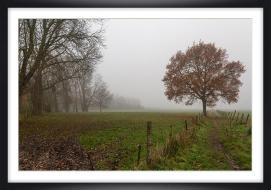 Brouillard ch py03a marc zommer photographies