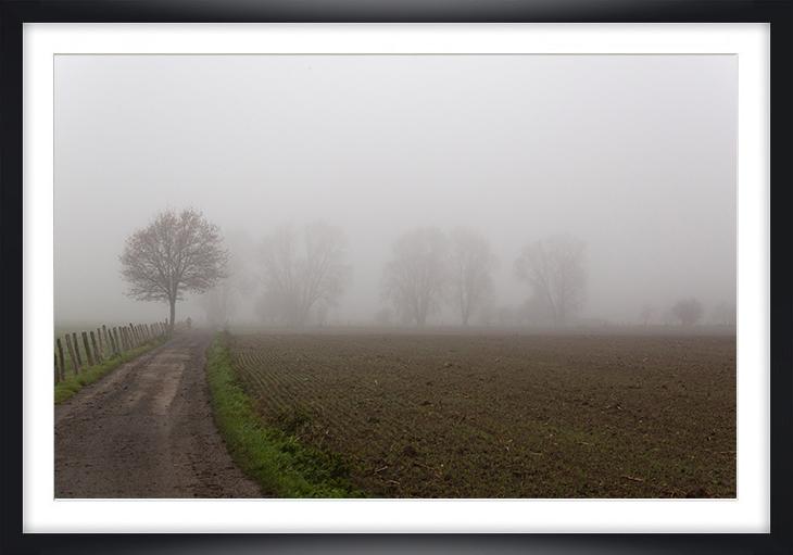 Brouillard ch py04a marc zommer photographies