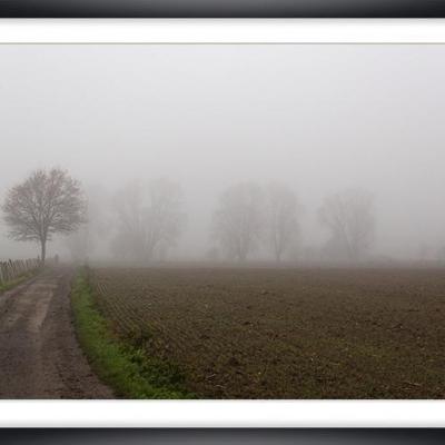 Brouillard ch py04a marc zommer photographies