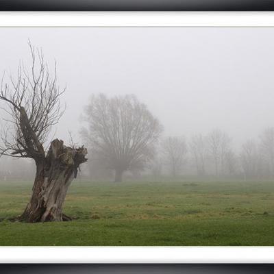 Brouillard  Marc Zommer Photographies