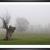 Brouillard ch py05a marc zommer photographies