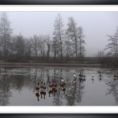 Brouillard ch py06a marc zommer photographies