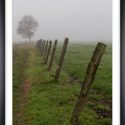 Brouillard cv py08a marc zommer photographies