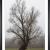 Brouillard cv py09a marc zommer photographies