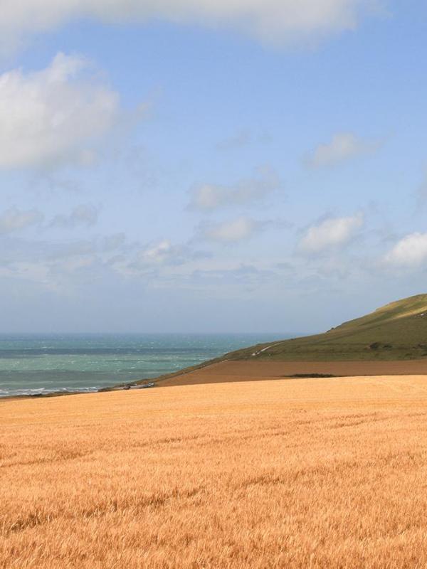 Cote d opale 1 20x30cm