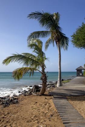 Guadeloupe marc zommer photographies
