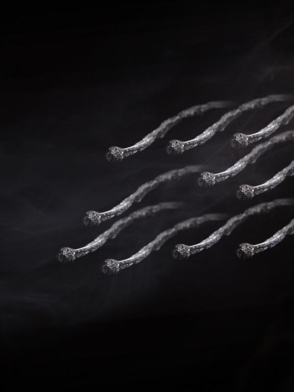 La vie marc zommer photographies copier