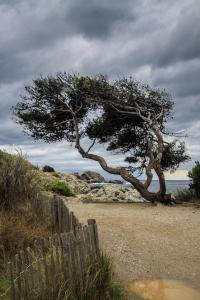 Marc zommer photographies la france est belle