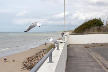 Merlimont  - Stella Plage - Côte d'Opale - Marc Zommer