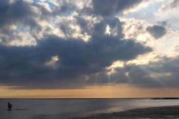 Merlimont  - Stella Plage - Côte d'Opale - Marc Zommer