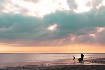 Merlimont  - Stella Plage - Côte d'Opale - Marc Zommer