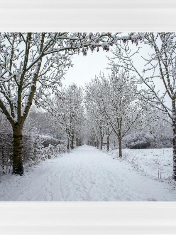 Parc des 6 bonniers marc zommer photographies