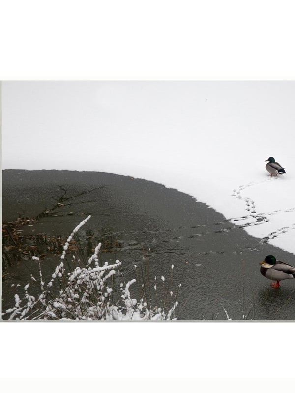 L'hiver