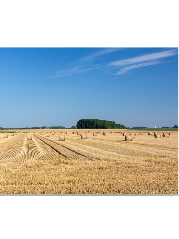Pp 30x40cm mzp57 marc zommer photographies 1