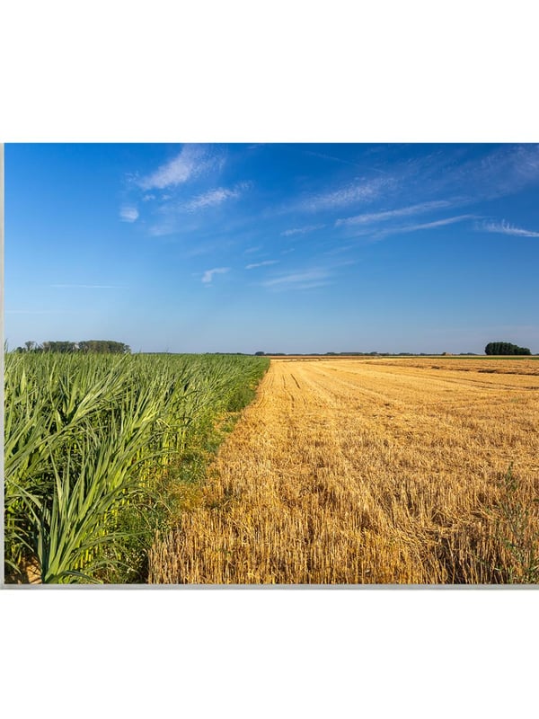 Pp 30x40cm mzp58 marc zommer photographies 1